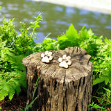 Paw - Hüpoallergilised Elegantsed Kõrvarõngad