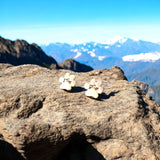 Paw - Hüpoallergilised Elegantsed Kõrvarõngad