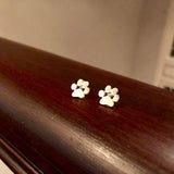 Paw - Hüpoallergilised Elegantsed Kõrvarõngad